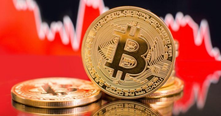 Peter Schiff Poll: Bitcoiners Stand Firm Even if Bitcoin Crashes to $0