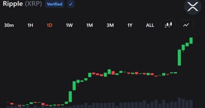 XRP Buyers Return as Rally Crushes Shorts and Lifts Momentum