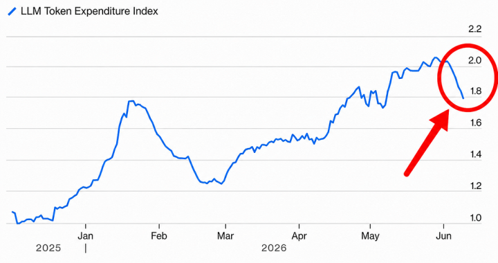 The AI Index That Could Predict the End of the AI Boom