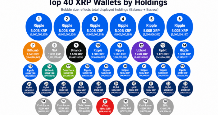 55.84 Billion XRP Appears Across the Top 40 Wallets, but Escrow Changes the Picture