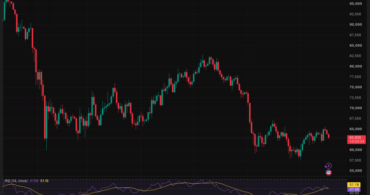 Larry Fink Points to Leverage Washout as Case for 12-Month Bitcoin Bull Run