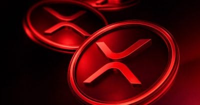 Esports org VARREL taps Foxy9 for VCT Pacific run as gaming-crypto crossover investment thesis faces reality check