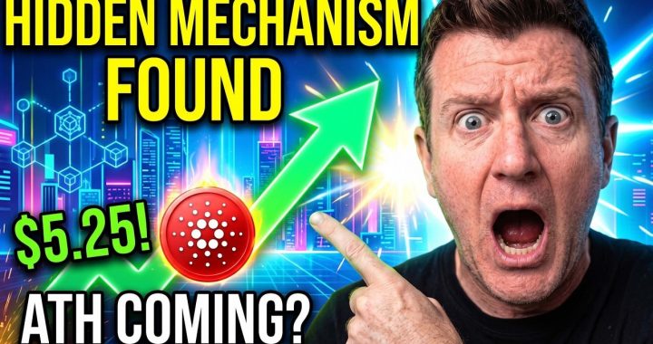 Expert Predicts Fed Decision Could Bail Out Beaten Cardano Price