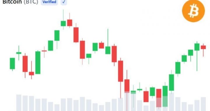 Whale Buying Hints at Bitcoin Bottom After Worst Month Since 2022 — 3 Signals to Watch