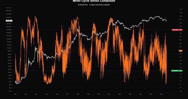 Bitcoin Miner Stress Hits ‘Historically Rare’ Level as 20% of Miners Operate at a Loss