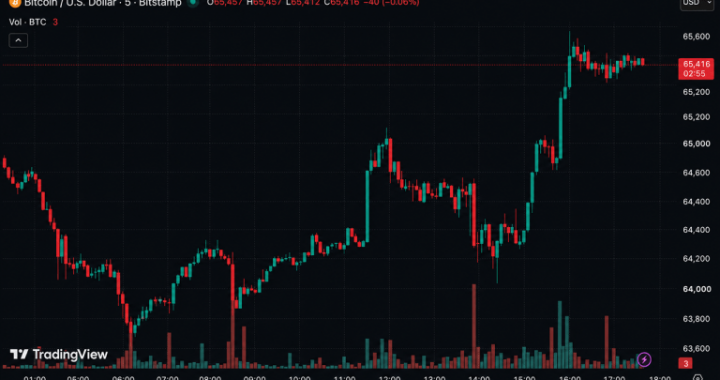 Bitcoin Roars Back Above $65K as Iran War Fails to Break Whale Buying Frenzy