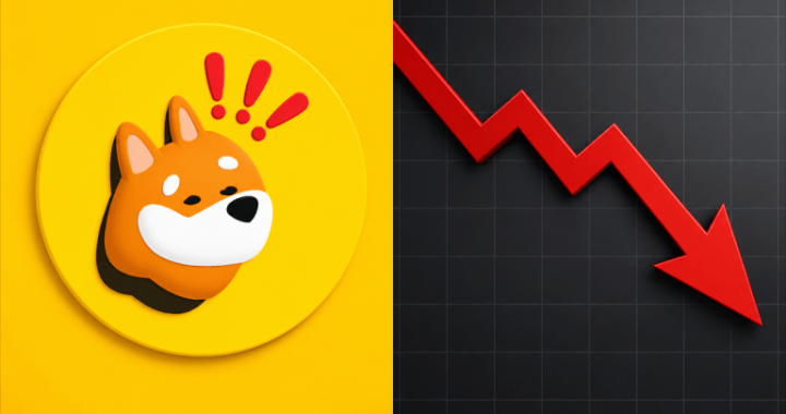 BonkDAO Treasury Loses $20M in Malicious Governance Attack, BONK Slides 8%
