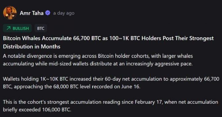 Whales vs. Mid-Tier Holders: The Dramatic Shift in Bitcoin Ownership Splitting the Market