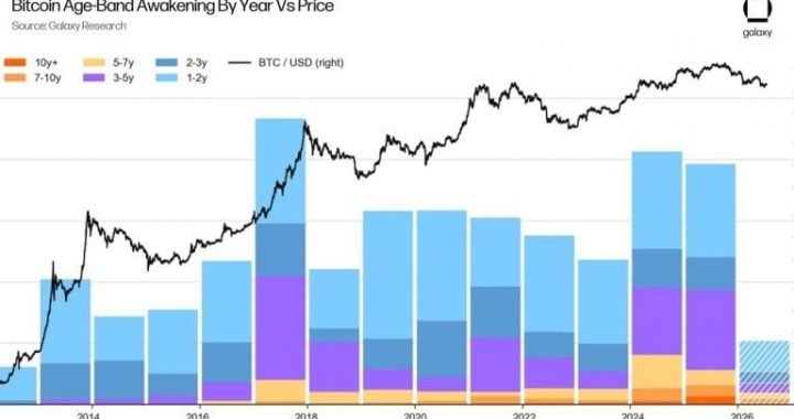 Bitcoin Whales Are Not Selling Over Quantum Fears, Analyst Says