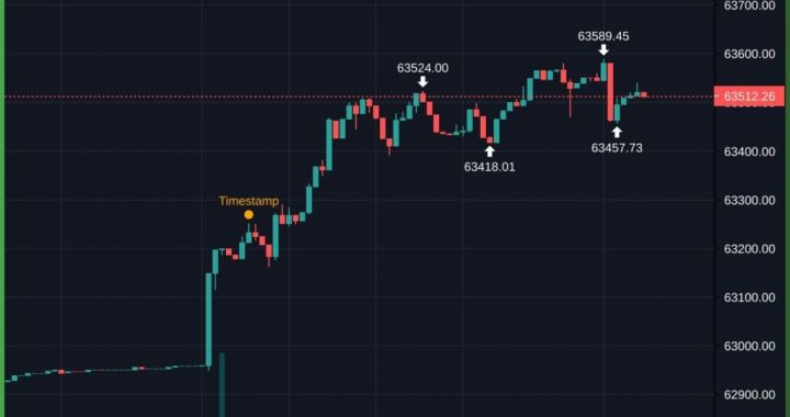 The Borrowed Bid