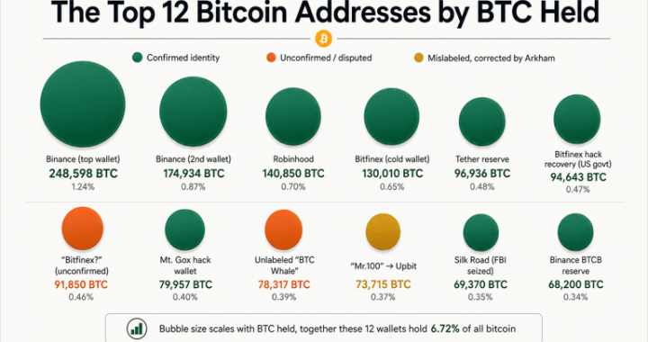 Inside the Top 12 Bitcoin Addresses: Who Holds 1.35 Million BTC