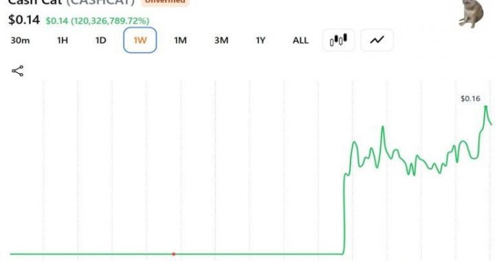 This Trader Sold His CASHCAT for $711 Instead of Retiring: Here’s the Math