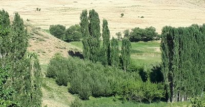 US strike hits near piranshahr in iran’s west azerbaijan: IRIB