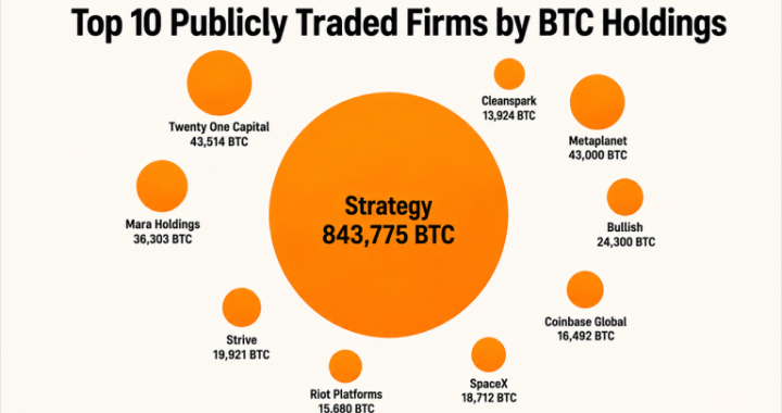 Top 10 Publicly Traded Firms by BTC Holdings Reveal a Million-Bitcoin Power Bloc