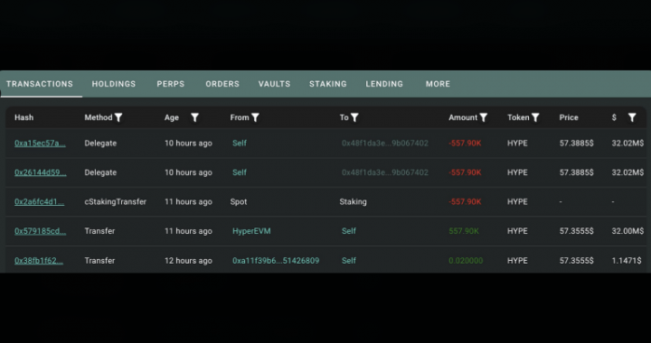 Whale Stakes $32.87M in HYPE as Token Trades 25% Below Its June Peak