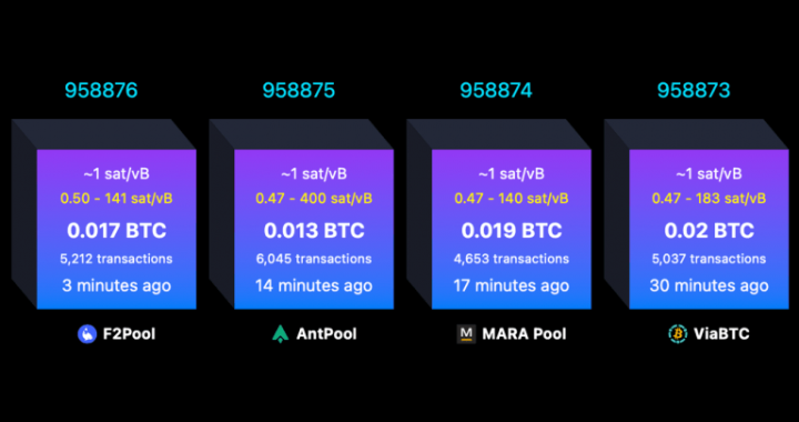 What Happens When a Bitcoin Block Is Full? Every Byte Sparks a Live Fee Auction
