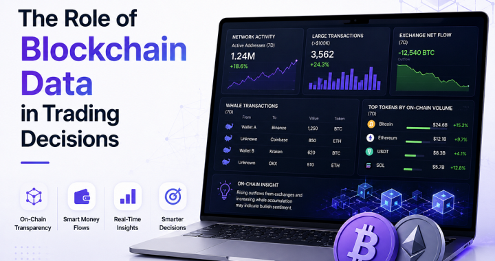 The Role of Blockchain Data in Trading Decisions
