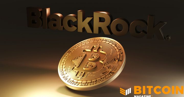 Bitcoin Is Down but Asset’s Role as Global Monetary Alternative Remains, Says Blackrock