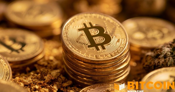 Edelman Financial, Tudor Investment Reveal Significant Bitcoin Holdings 