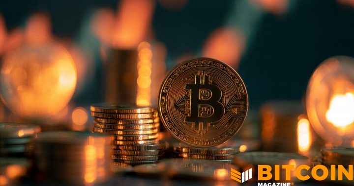 Investors Cash Out Fast of Bitcoin ETFs but Price Remains Stable