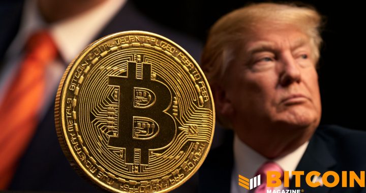 Forget the Trump Bump — Bitcoin Would Be Fine Under Democrats, Says VanEck 