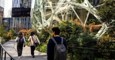 Wall Street gains as Amazon eases AI concerns