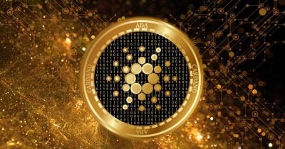 Whales accumulate 240M ADA, fueling 22% price surge