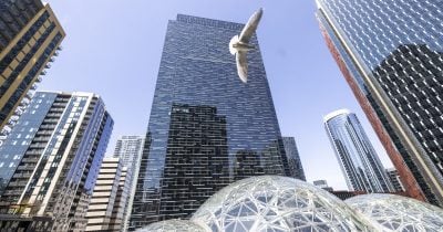 Amazon buys rare books for AI training, reportedly destroys originals