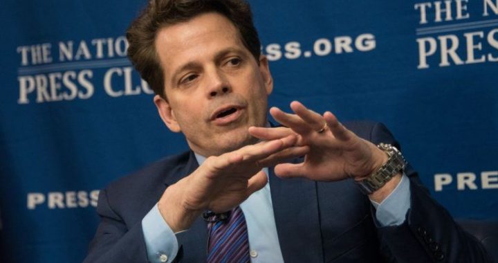 Scaramucci Backs BTC Above $100K as Bear Phase Nears End