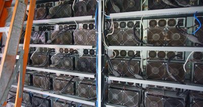 Bitdeer shares fall 15% despite revenue growth and AI pivot progress