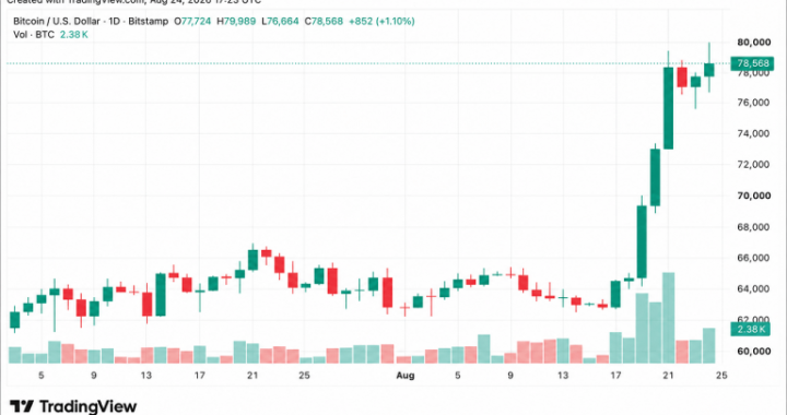 Bitcoin Price Drives Toward $80K as Economist Warns of ‘Massive QE’