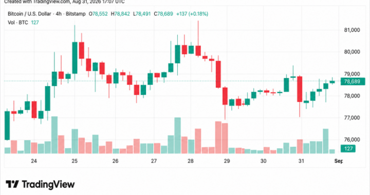 Bitcoin Price Holds Above $78.5K as August Gains Near 25%