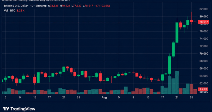 Bitcoin Price Slams Into $79K Wall as Rally Momentum Starts Fading