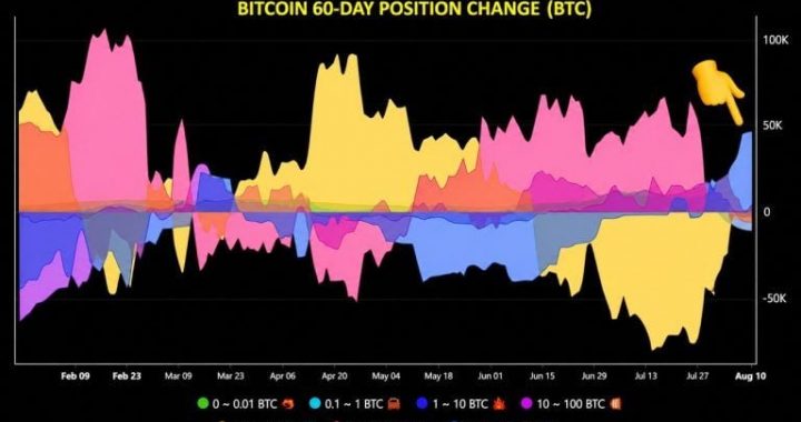 Bitcoin Whales Add 43,000 BTC, Ending Months-Long Selling Spree
