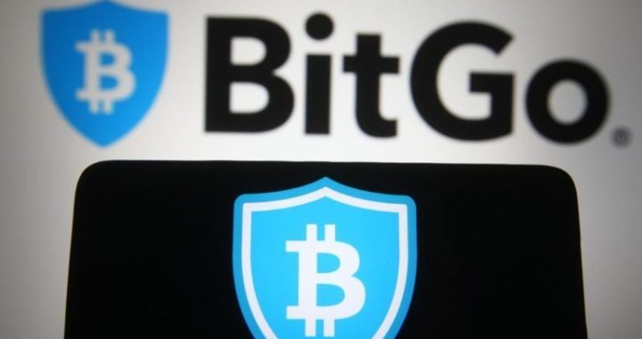 Bitgo Revenue Jumps 80% to $4.3B as Stablecoin Demand Grows