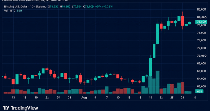 Bulls Reload for Another Assault on $81K as Bitcoin’s Price Rises