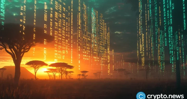 African financial company issues first $431 million digital bond