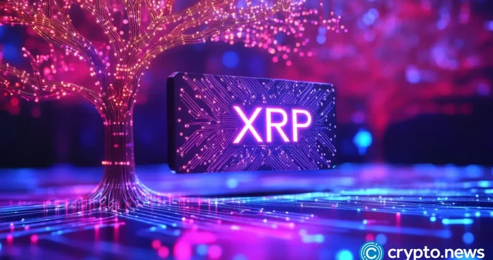 XRP faces a major imbalance as price stalls despite 72% ETF inflows; how its holders are earning $9,000 a day