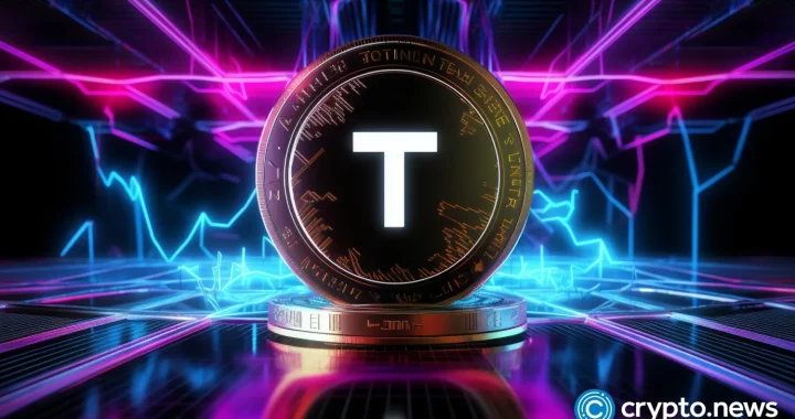 Tether CEO backs stablecoins over tokenized deposits as BIS raises risks