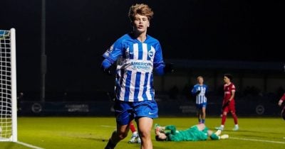 Leicester signs Harry Howell on season-long loan from Brighton