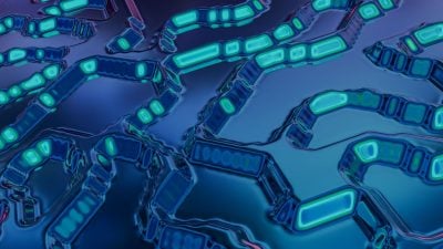 Meta and University of Illinois develop EvoHarness-RL, a self-evolving runtime layer for AI agents