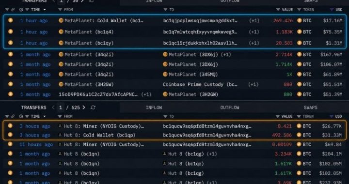 Metaplanet, Hut8 Move $125 Million in Bitcoin off Exchanges