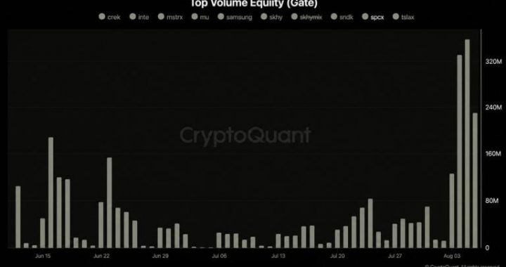 Musk’s SpaceX Stock Rallies 6% as Tokenized Volume Hits $700M