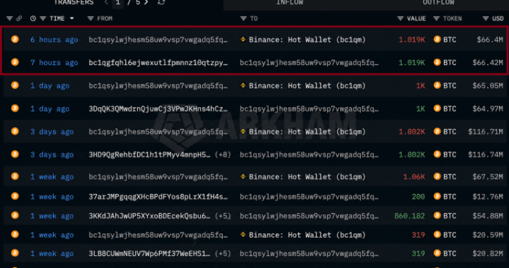 Mystery Whale Dumps $486 Million in Bitcoin Over Three Weeks