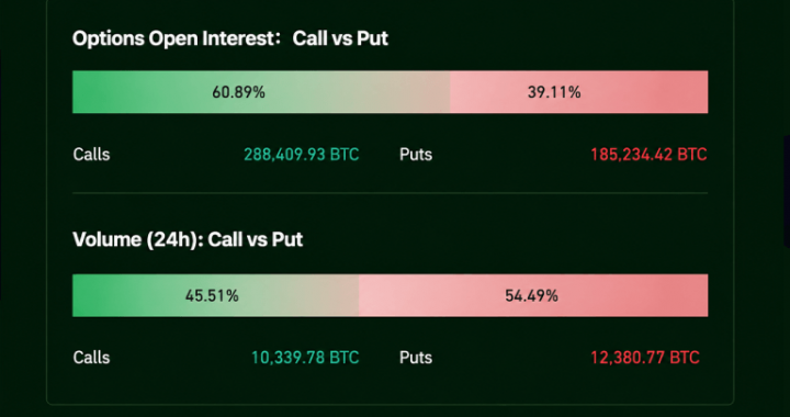 Options Bets Turn Defensive Ahead of a Bitcoin Price Showdown