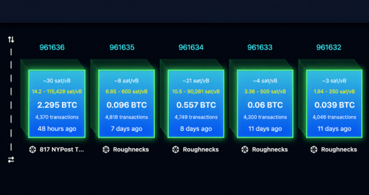 Replay Attack Alarm Grows as BIP-110 Backers Brand Bitcoin ‘Spamcoin’