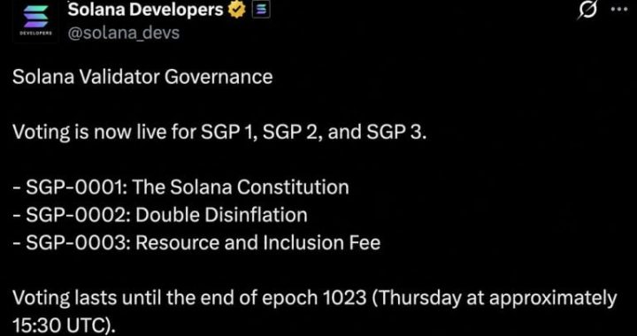 Solana Validators Open Vote on Constitution