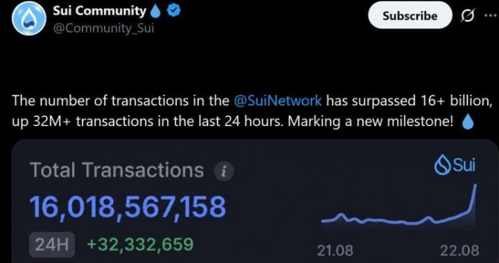 Sui Stablecoin Supply Holds Near $500M as Volume Tops $65B