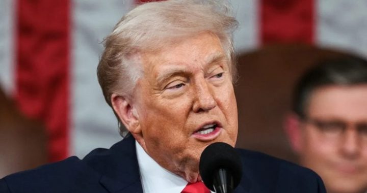 Senators Demand SEC Probe Into Trump Memecoin After $3.8B Losses
