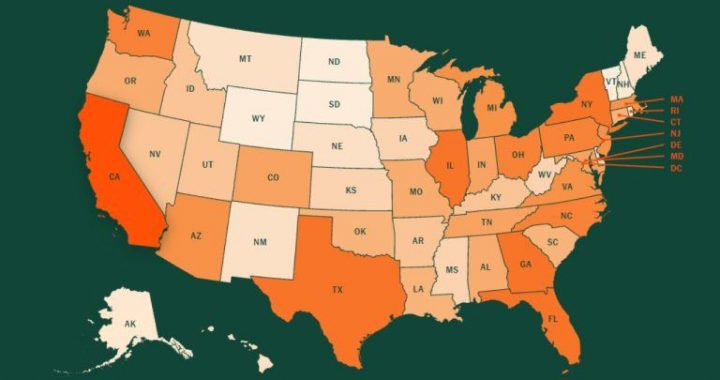 Interactive Map Showing Exactly Where 67 Million US Crypto Holders Live